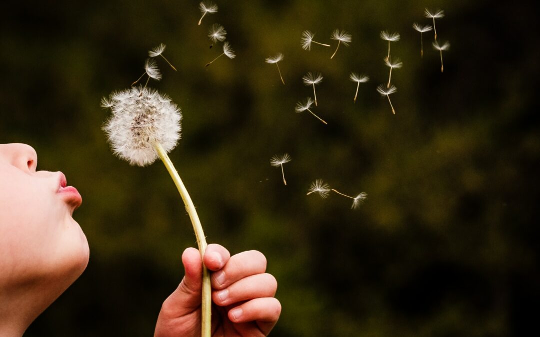 ELM and the Annual Dandelion Explosion